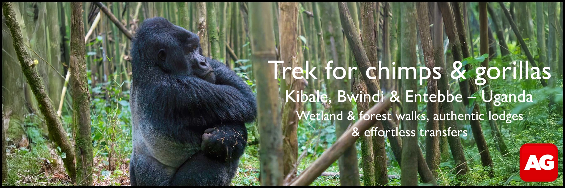 Africa Geographic Travel