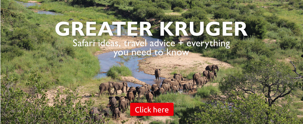 Greater Kruger