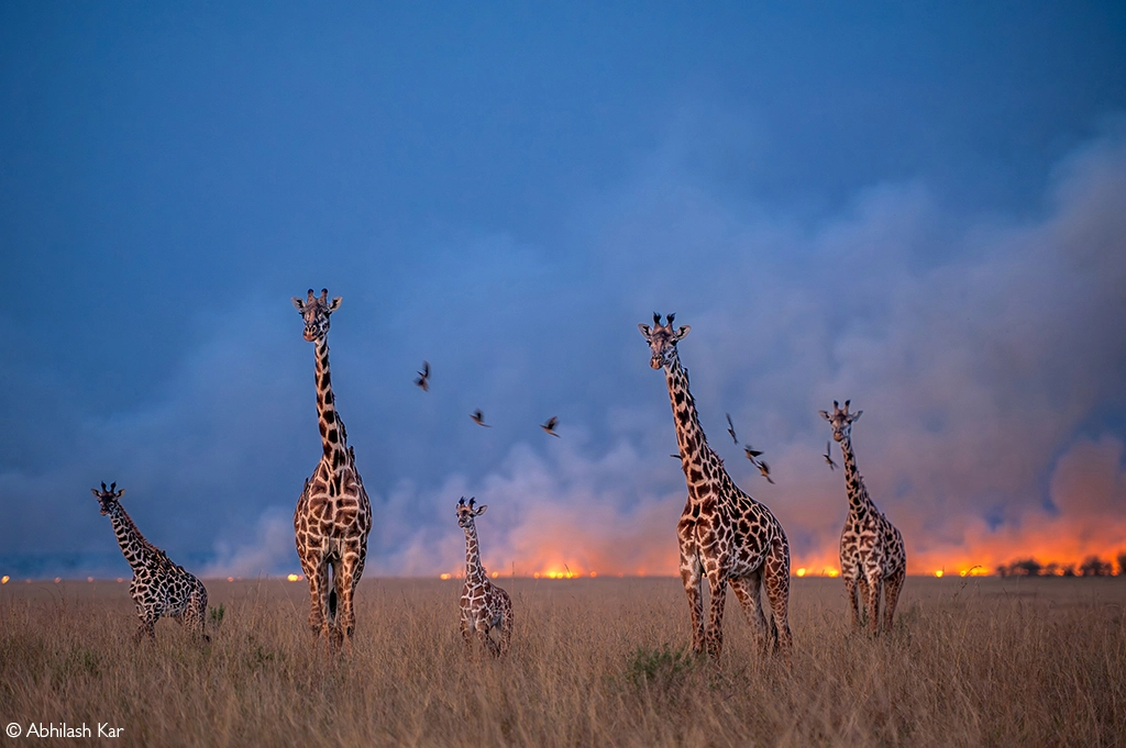 Photographer of the year 2026