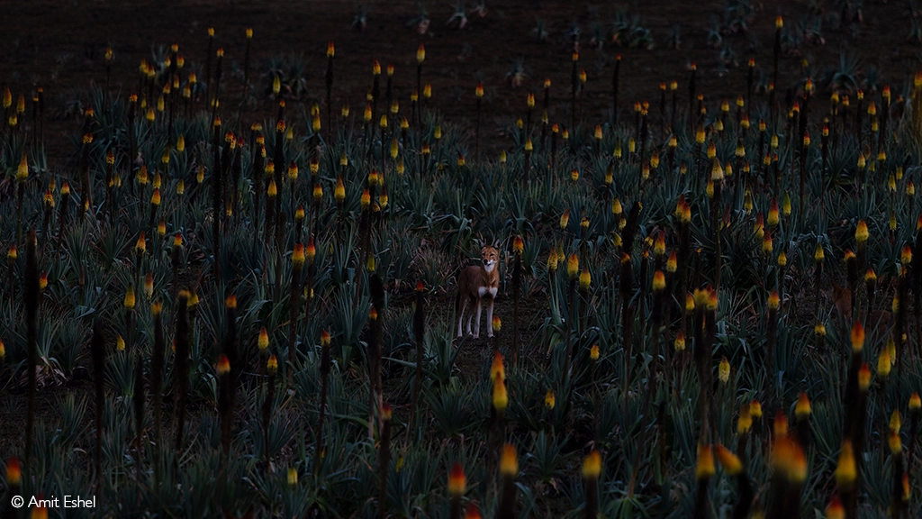 Photographer of the year 2026