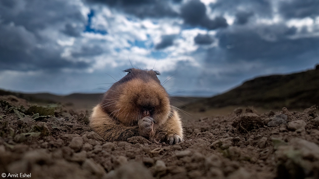 Africa Geographic safari