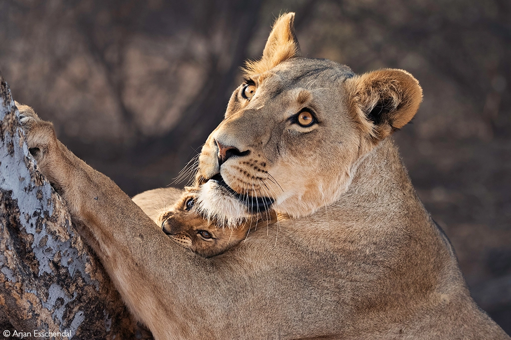 Photographer of the Year