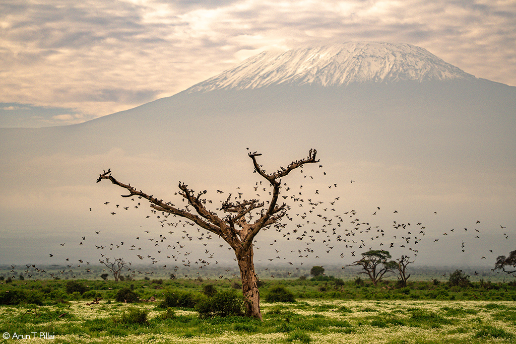 Photographer of the Year 2026