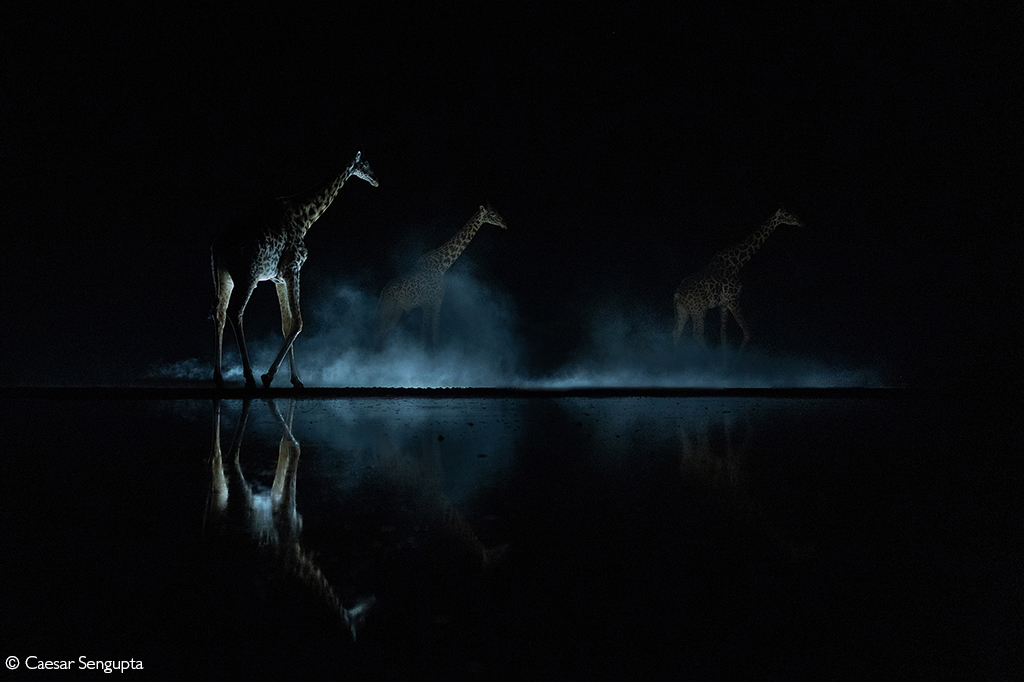 Africa Geographic Photographer of the Year 2026