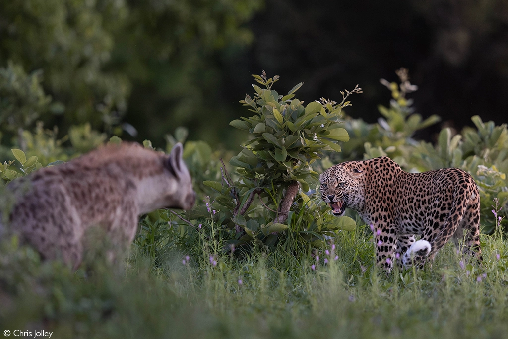 Photographer of the Year