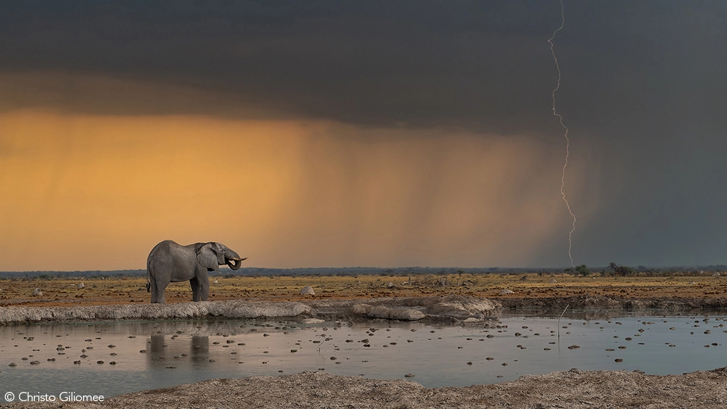 Photographer of the Year