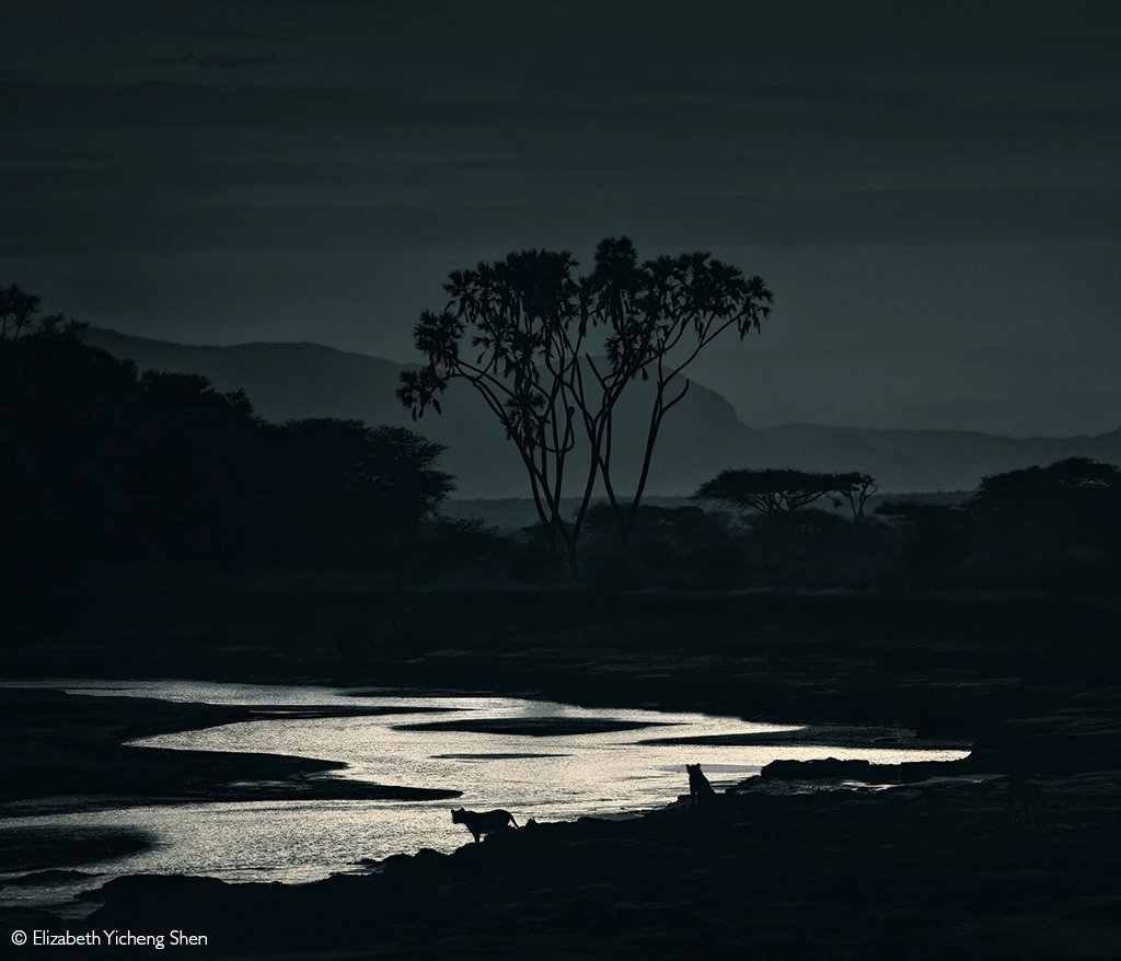 Photographer of the year 2026