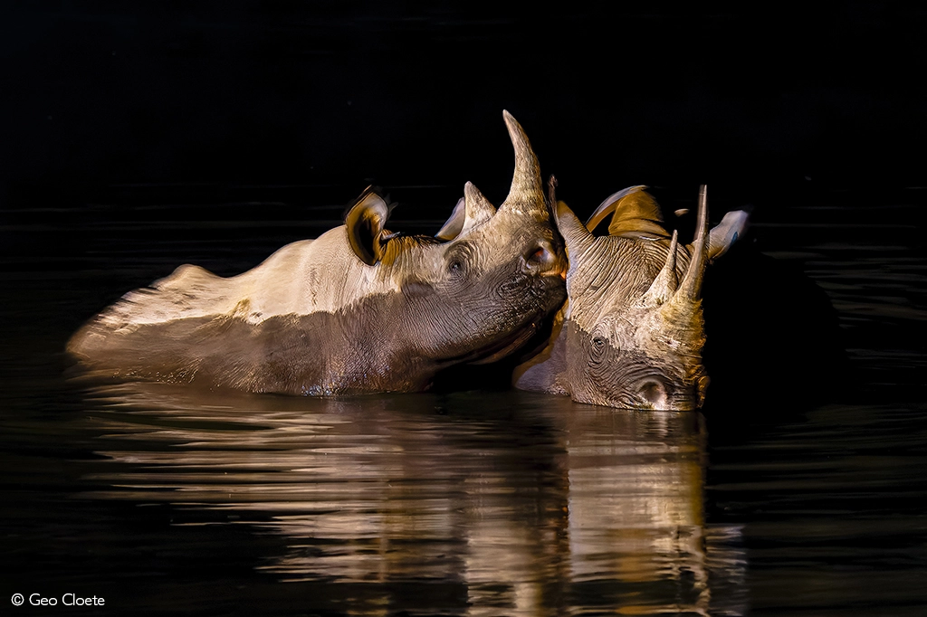 Africa Geographic safari