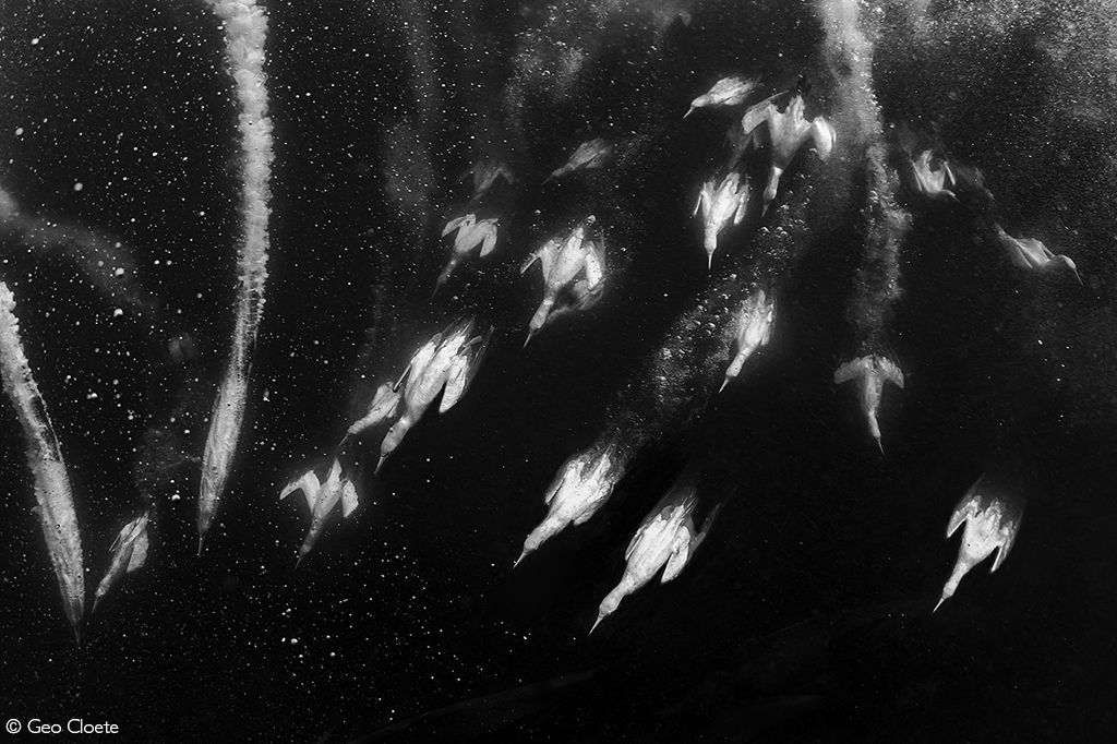 Africa Geographic photographer of the year