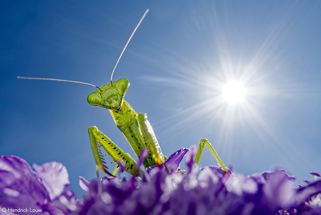 Photographer of the Year