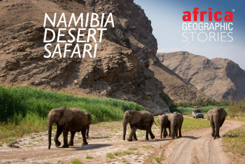 Namibia safari