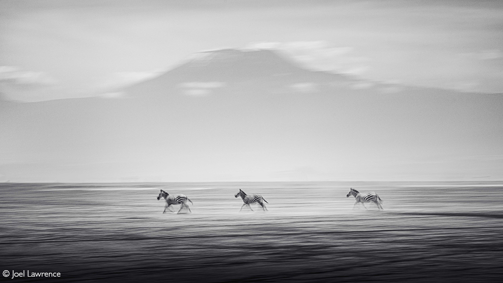 Africa Geographic Photographer of the Year 2026