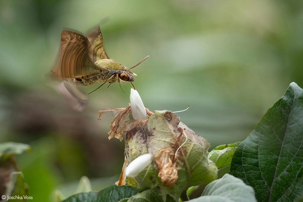 Photographer of the year 2026