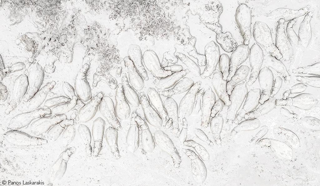 Photographer of the Year