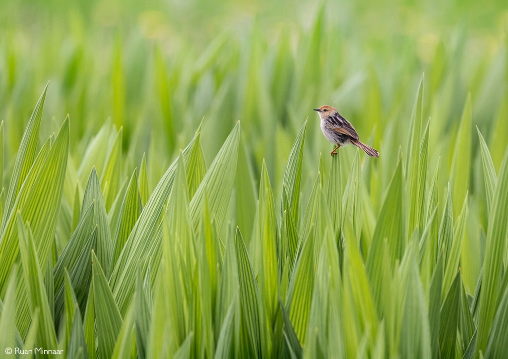 Photographer of the year 2026