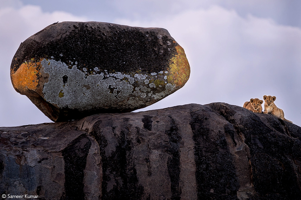 Photographer of the Year