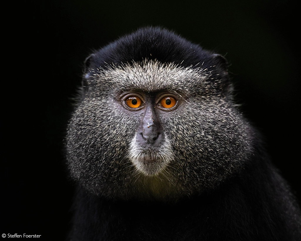 Photographer of the Year