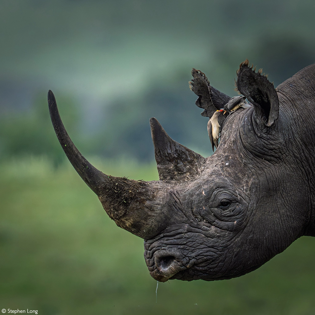 Photographer of the year 2026