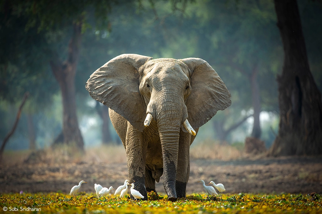 Photographer of the year 2026