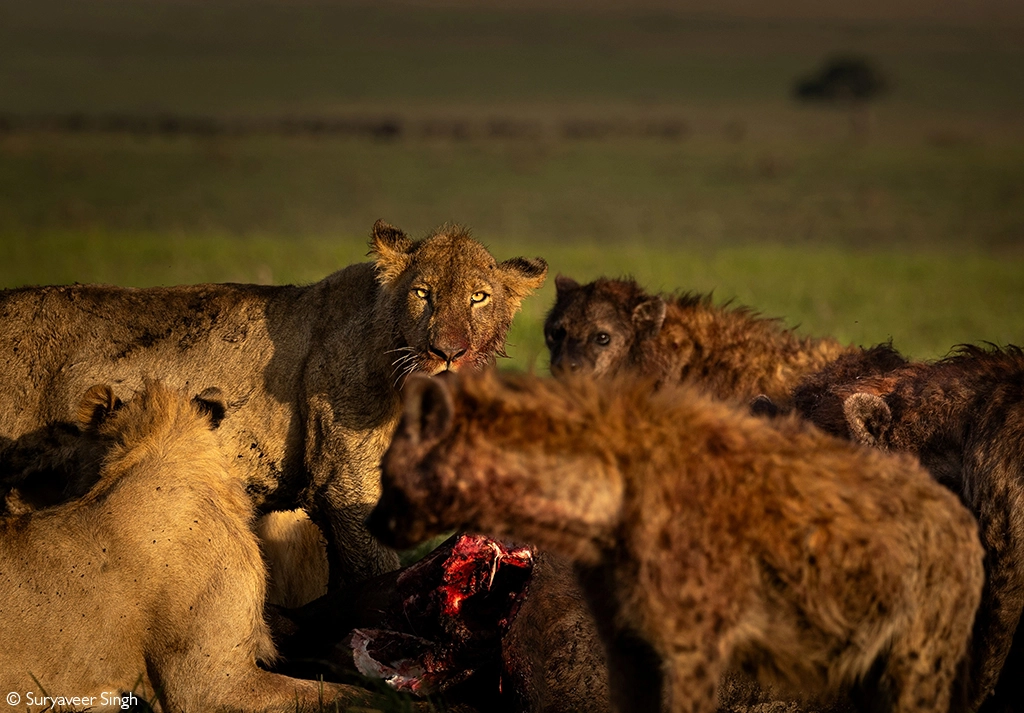 Photographer of the Year