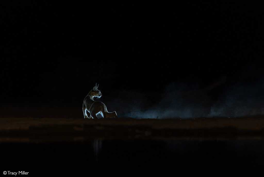 Africa Geographic Photographer of the year 2026