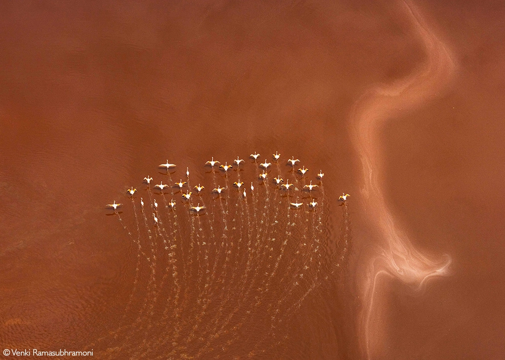 Photographer of the Year