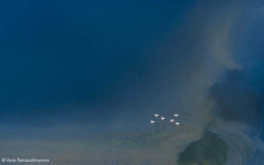 Photographer of the Year