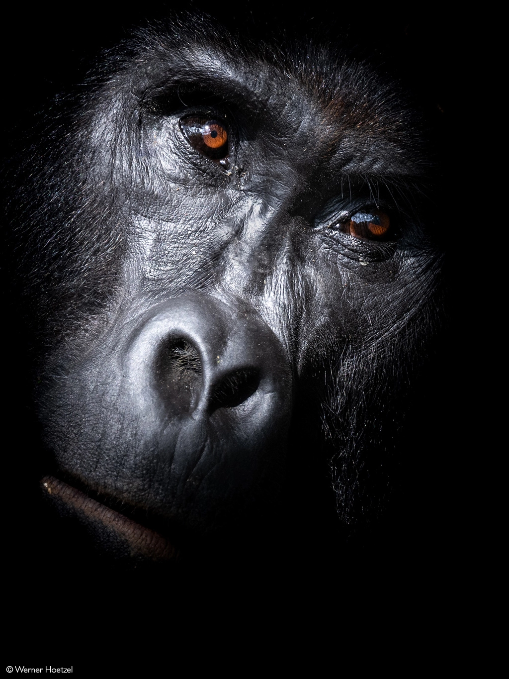 Photographer of the year 2026