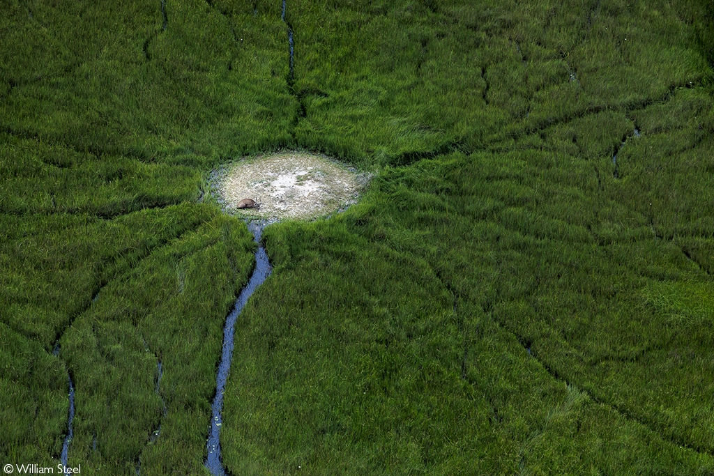 Africa Geographic Photographer of the year 2026