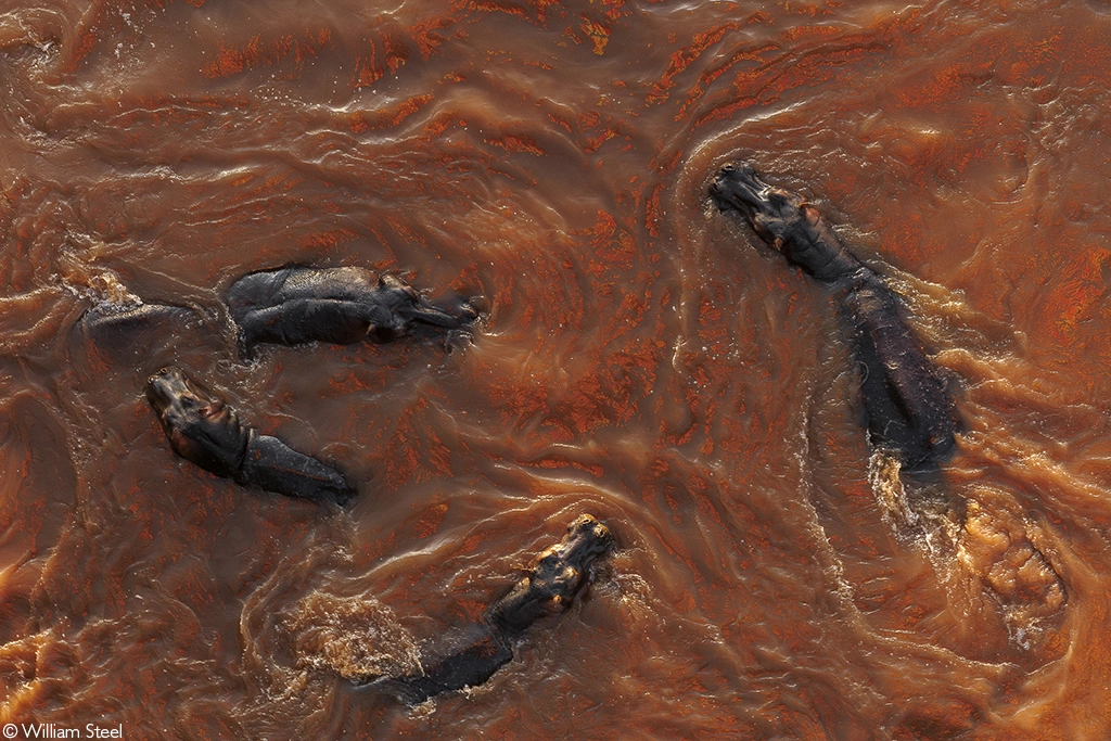 Photographer of the Year 2026