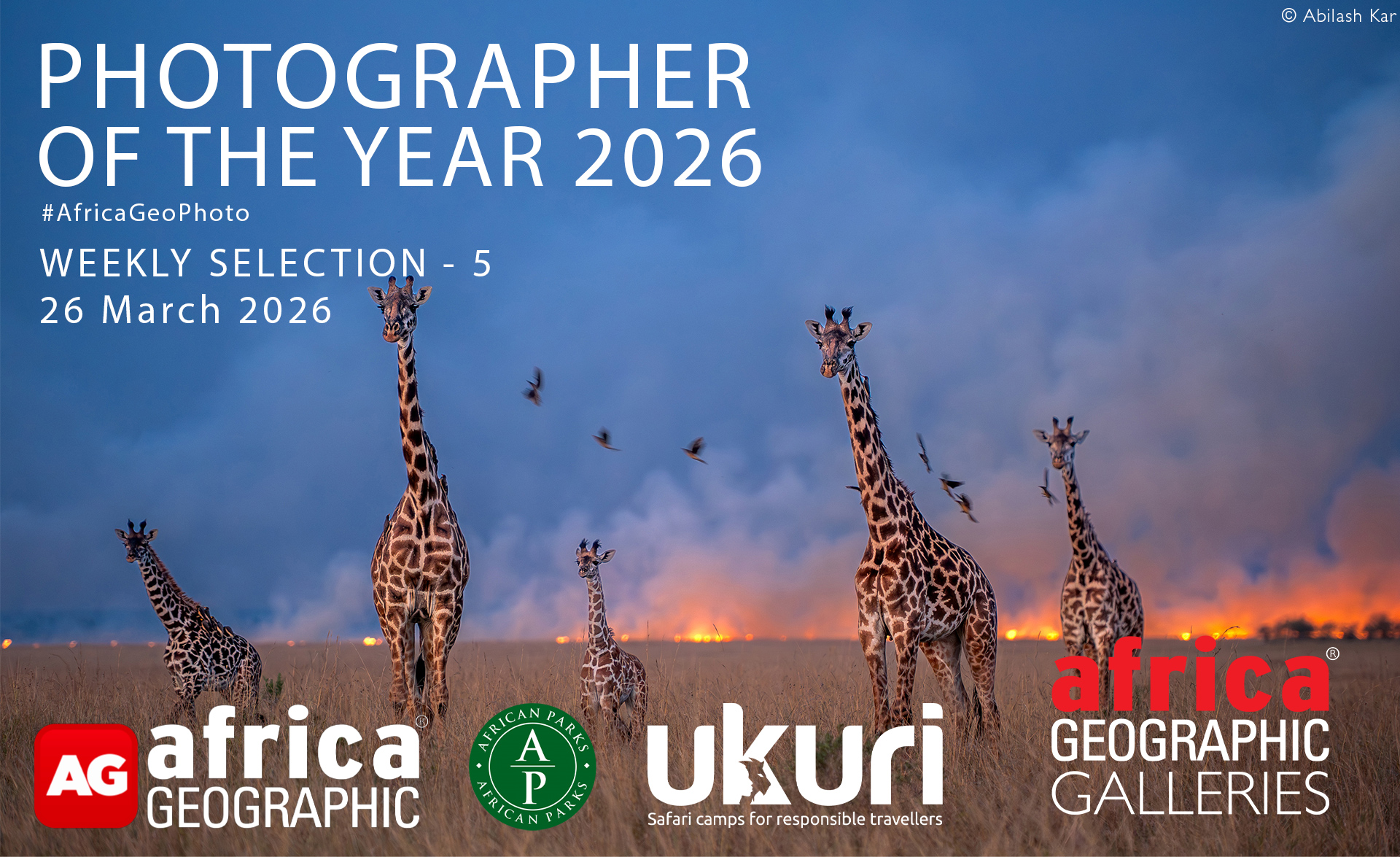 Photographer of the year