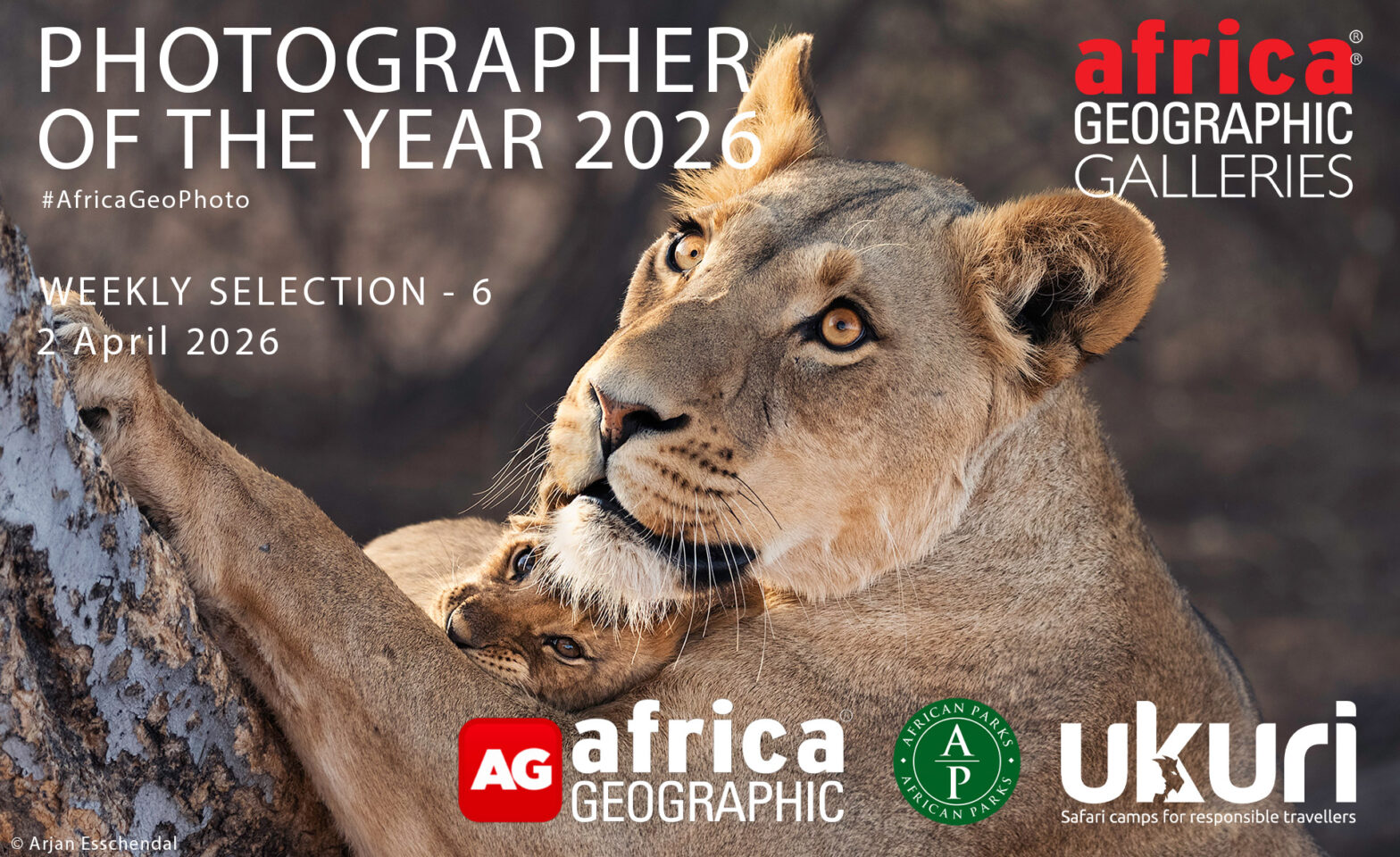 Photographer of the Year 2026