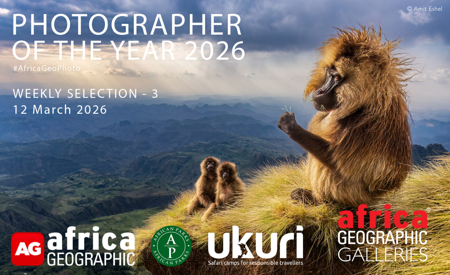 Photographer of the Year