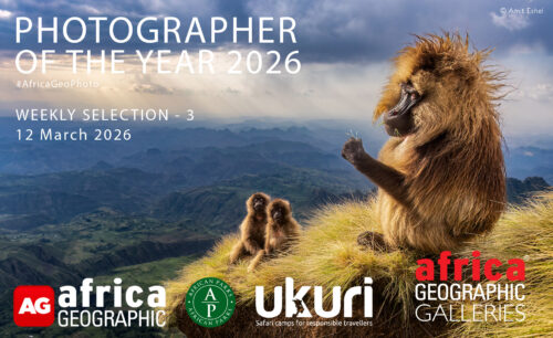 Photographer of the Year