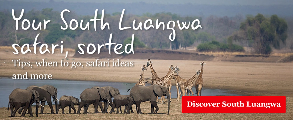 South Luangwa