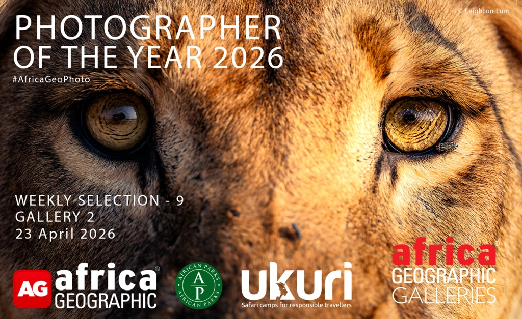 Photographer Of The Year, Week 9, Gallery 2