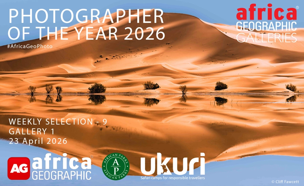 Photographer Of The Year, Week 9, Gallery 1