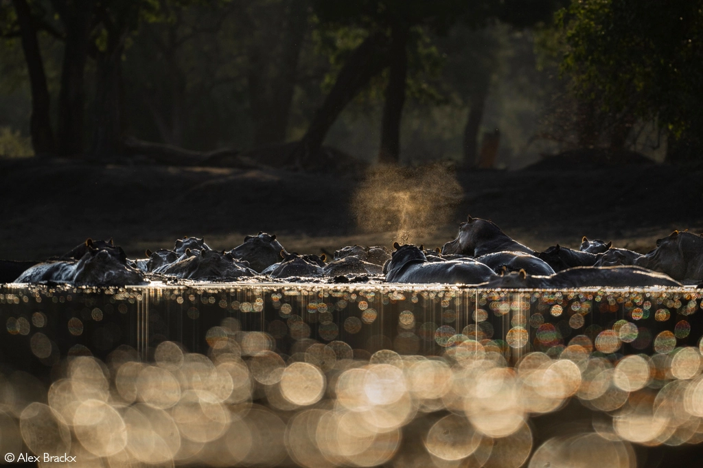 Photographer of the year 2026