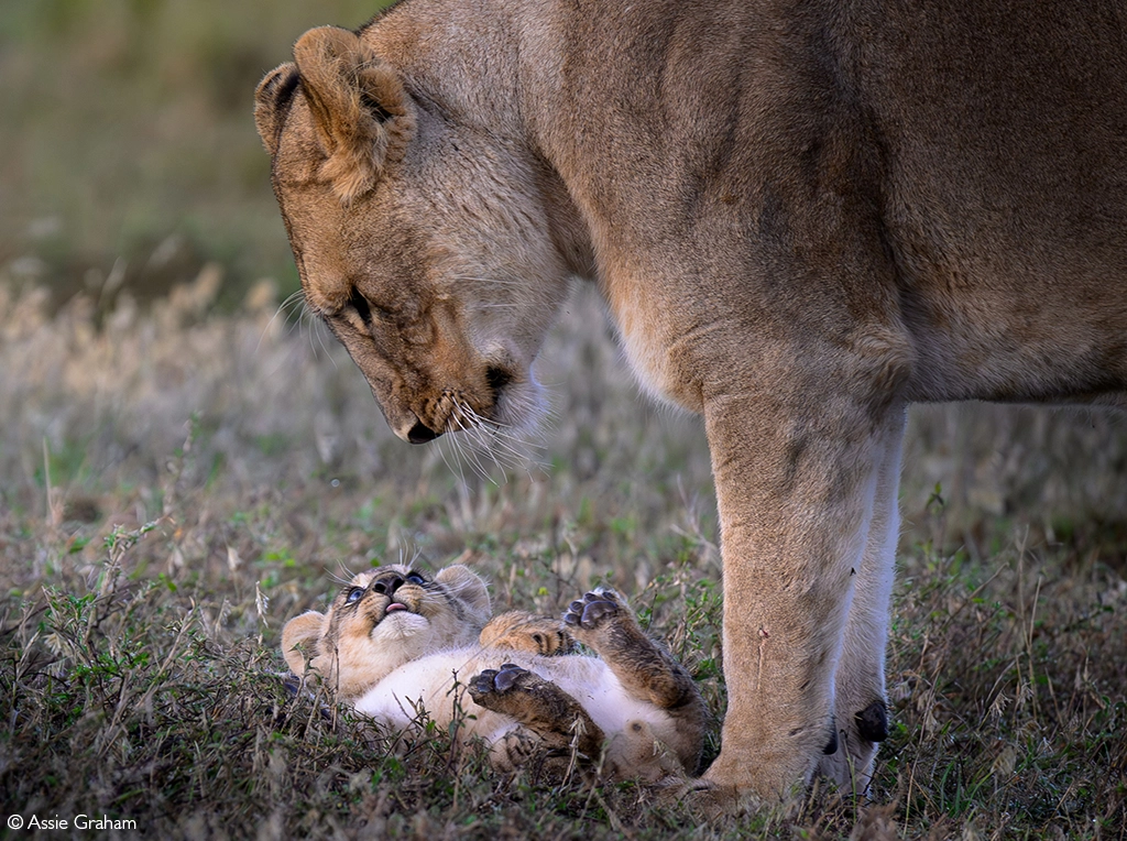 Photographer of the Year 2026