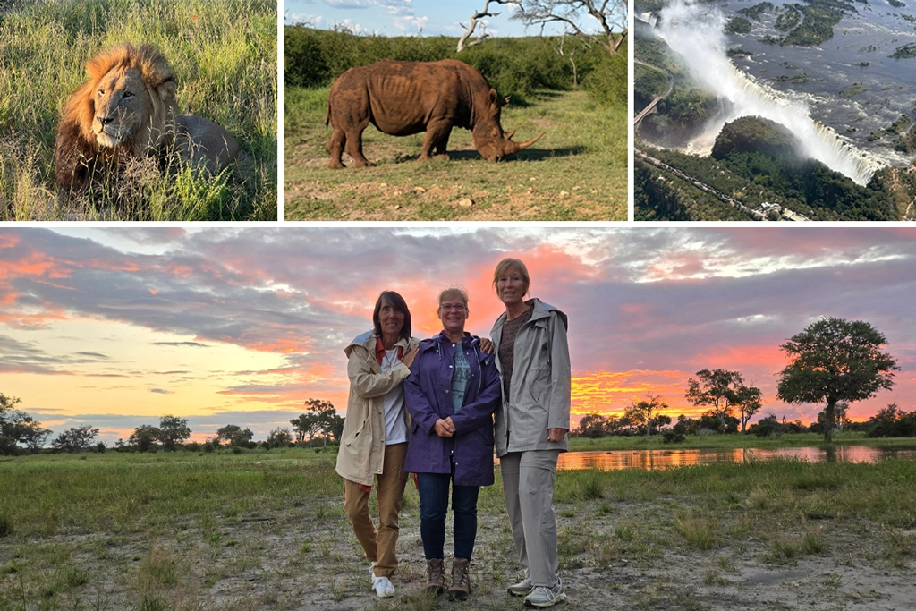 Our safari guests say