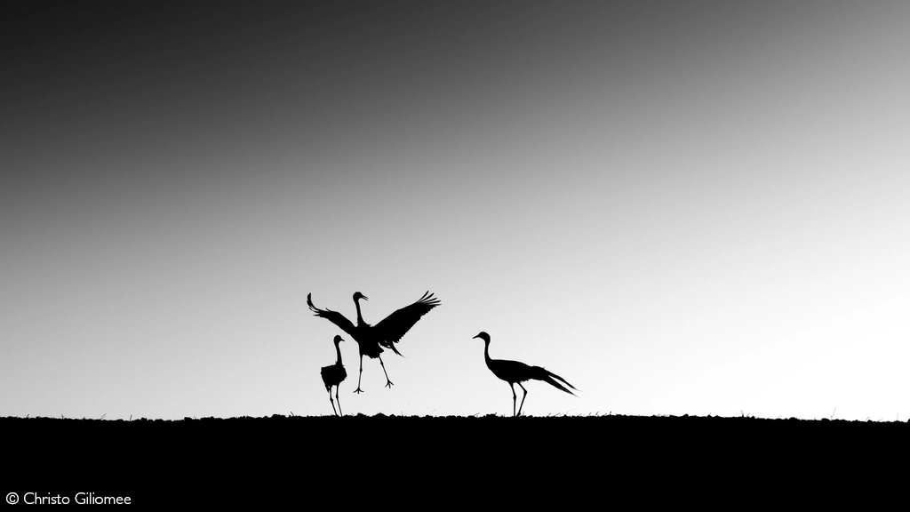 Photographer of the year 2026