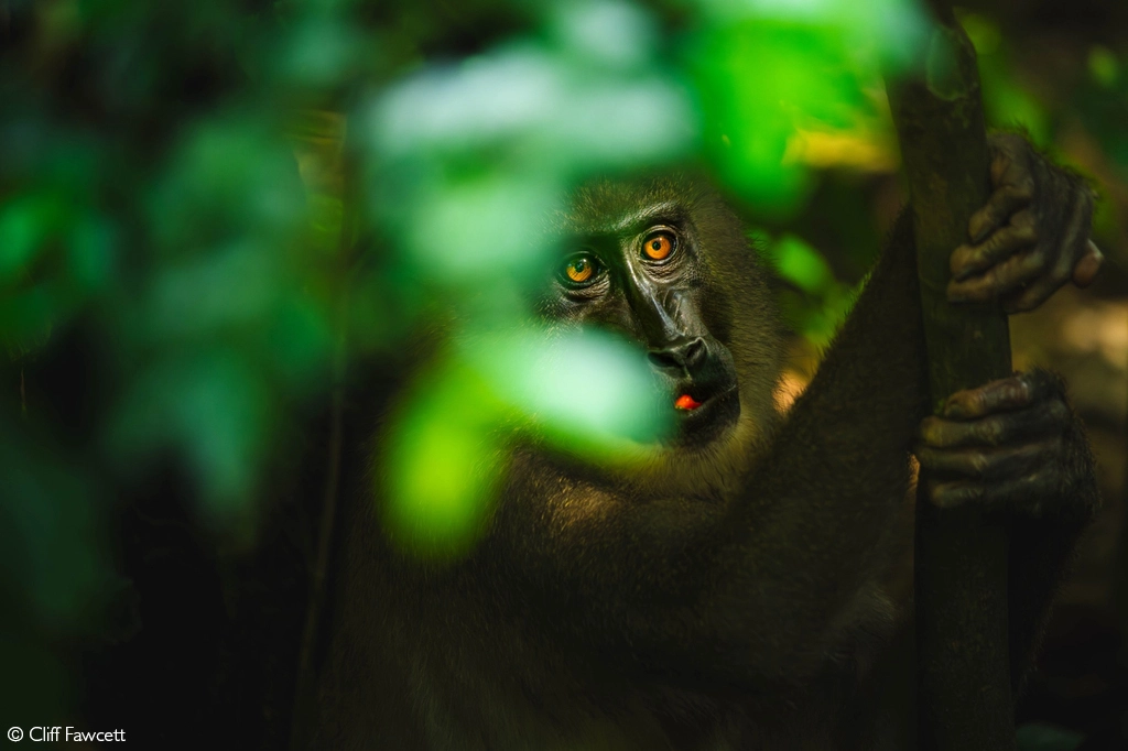 Photographer of the year 2026