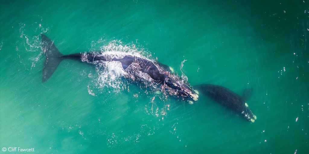 photographer of the year 2026