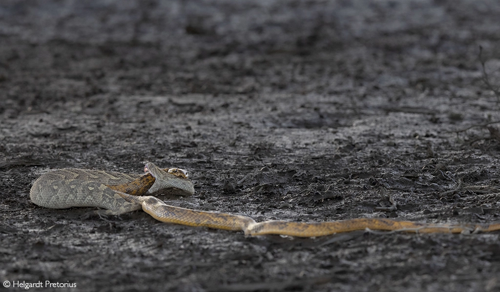 Photographer of the Year 2026