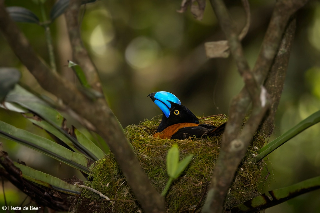 Photographer of the year 2026