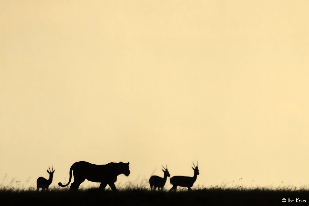 Photographer of the year 2026