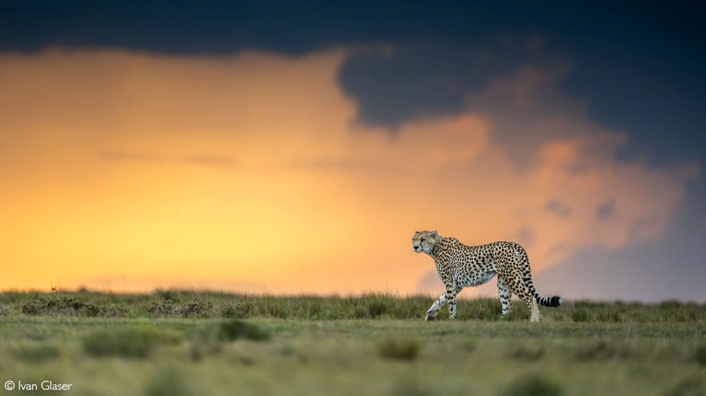 Photographer of the year 2026