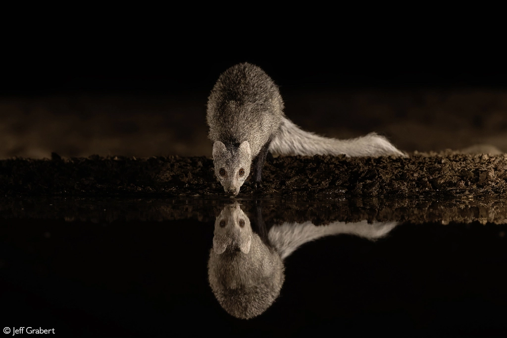 Photographer of the year