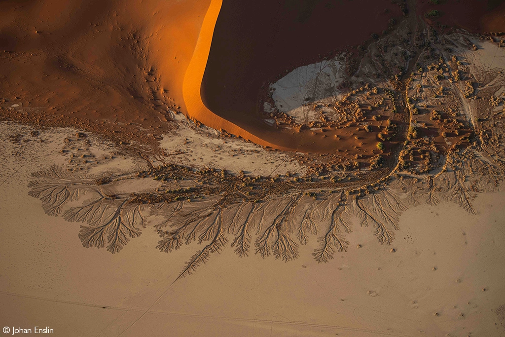 Photographer of the Year 2026