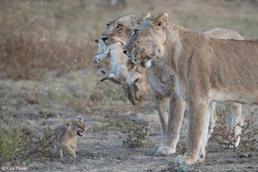 Photographer of the year 2026